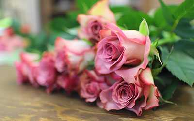 flower shop bradford pa